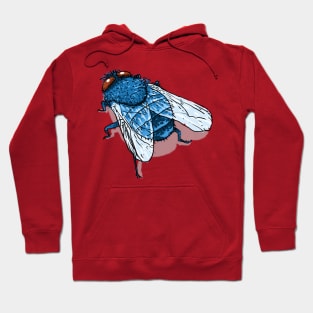 Bugs-10 Blue Fly Hoodie
